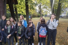 image12
