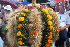 image22