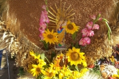 image38
