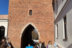 IMG20211106121537