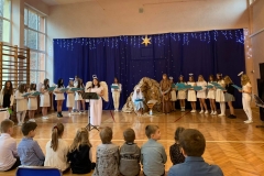 jaselka_2021_033