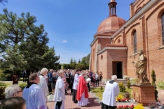 image_008