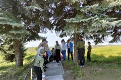 groby_002