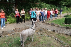 image12