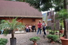 image38