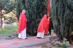 image12