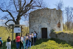 IMG20220502103923