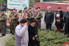 niepodlegosc011