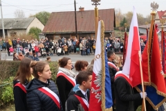 niepodlegosc050