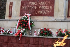 niepodlegosc055
