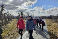 IMG20220212102257