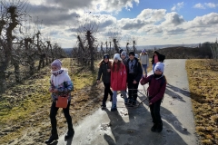 IMG20220212102258