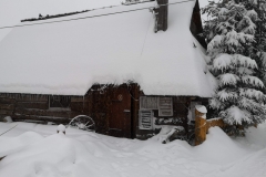 IMG_20200205_090518