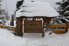 IMG_20200207_095522